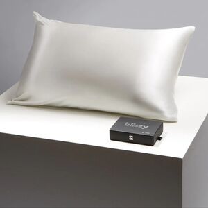 Set of 2 BNIB Blissy 100% Mulberry Silk King Pillowcases in Pure White